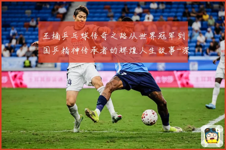 王楠乒乓球传奇之路从世界冠军到国乒精神传承者的辉煌人生故事-深度解析