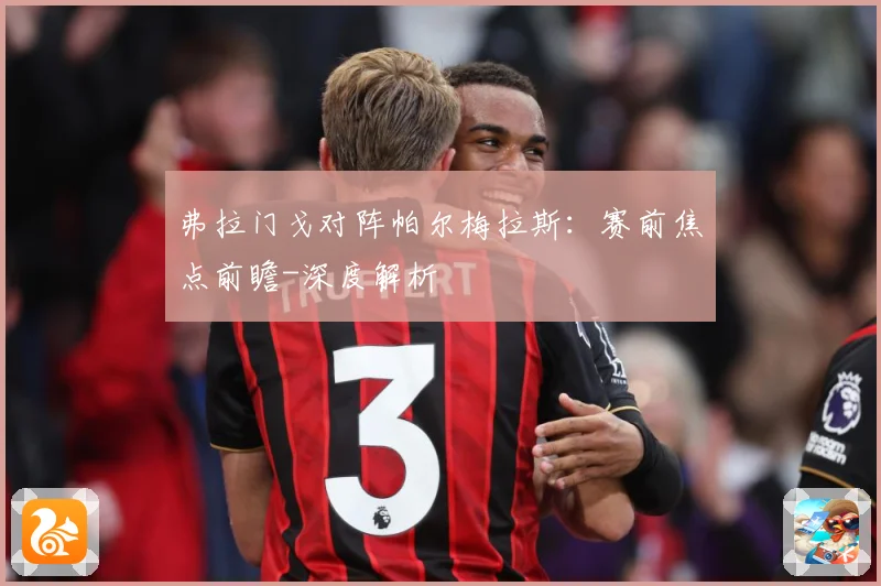 弗拉门戈对阵帕尔梅拉斯：赛前焦点前瞻-深度解析
